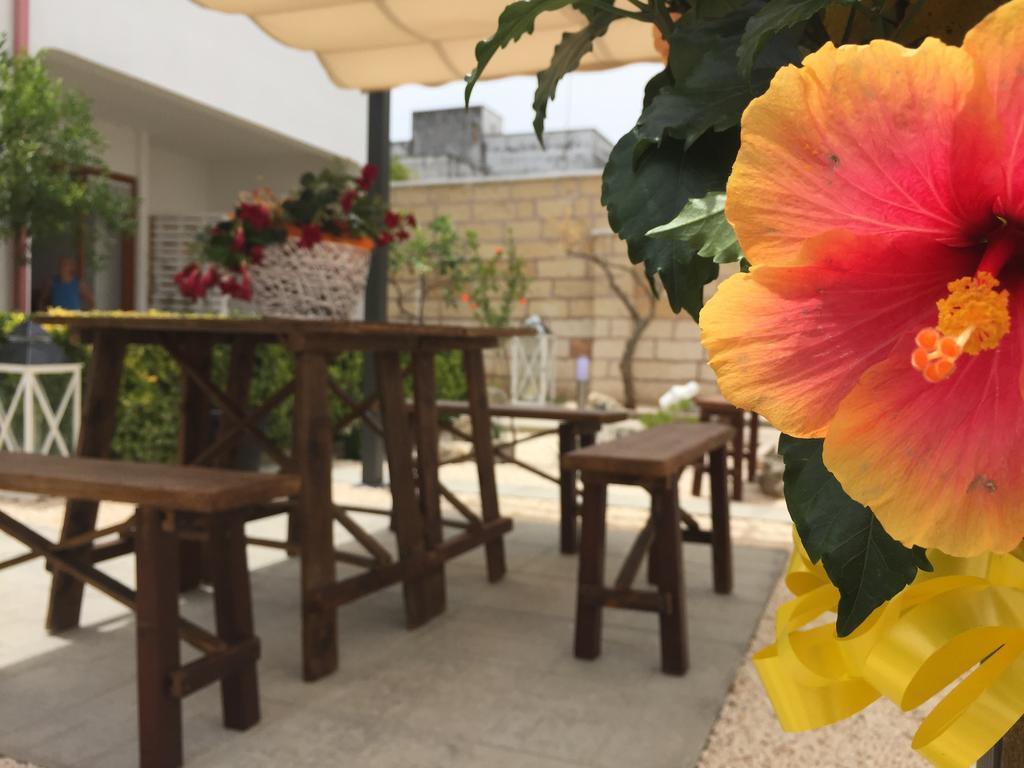 B&B Viro Campi Salentina Екстер'єр фото